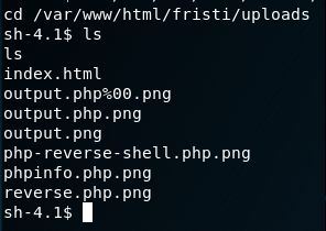 Fristileaks Vulnhub Writeup - by leomccavana.com - privesc - running pwd