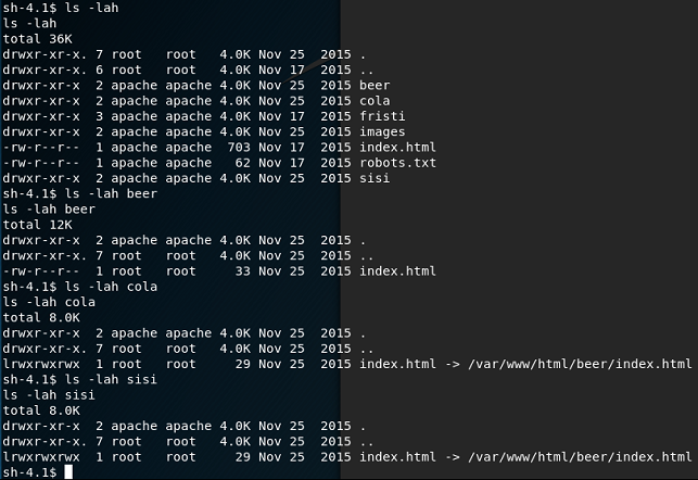 Fristileaks Vulnhub Writeup - by leomccavana.com - privesc - www root folder inspected