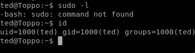 Toppo Vulnhub Writeup - by leomccavana.com - privesc - sudo is not installed
