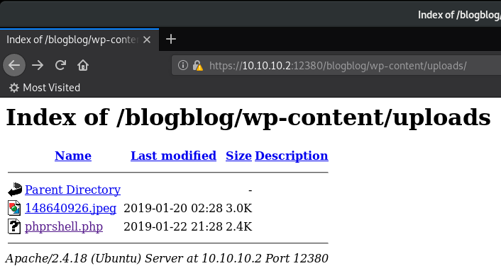 Stapler Vulnhub Writeup - by leomccavana.com - triggering the reverse shell